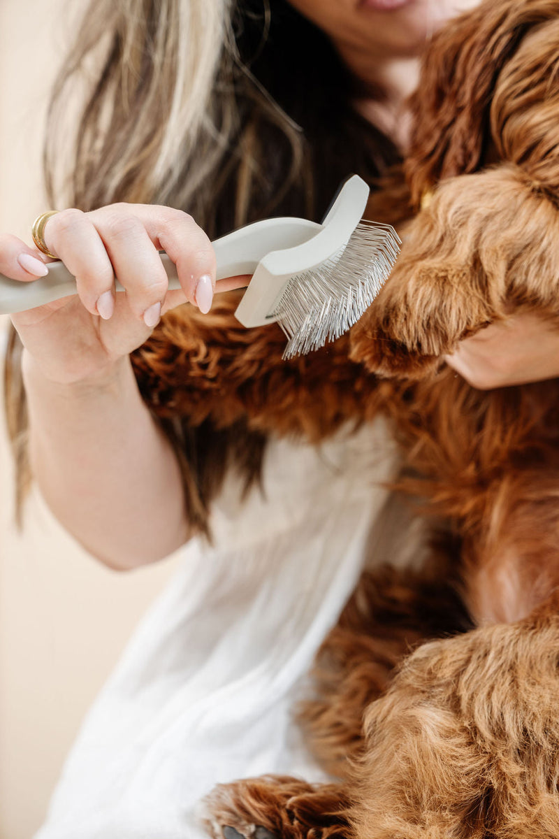 Pupwell Everyday Slicker Brush