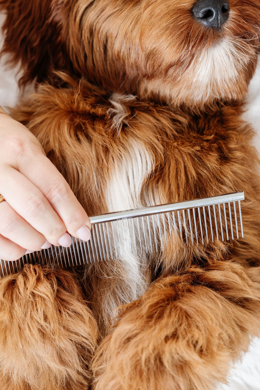 Pupwell Pup Parent Essentials Kit