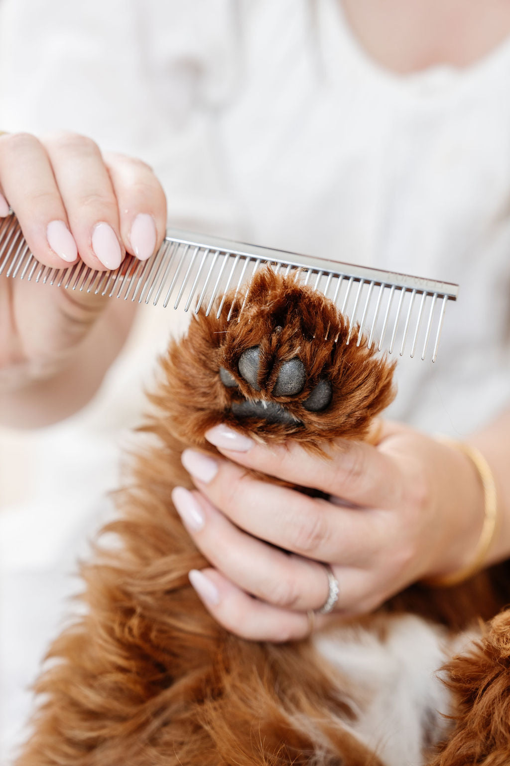 Pupwell Everyday Comb