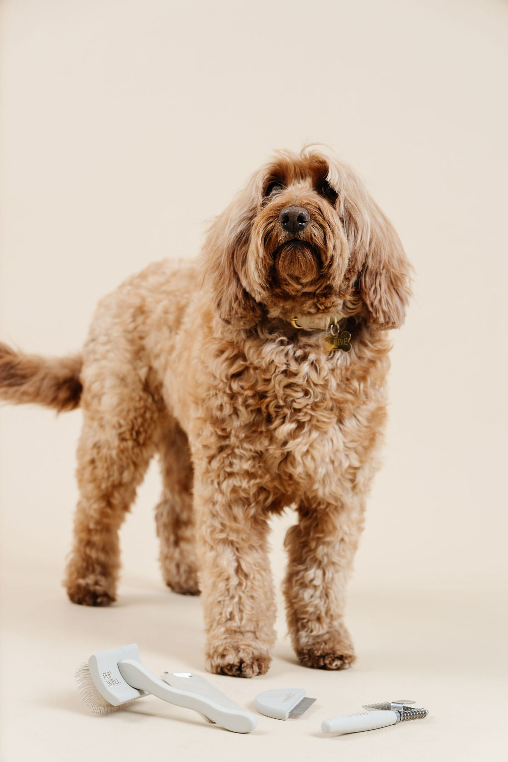 Pupwell Pup Parent Essentials Kit