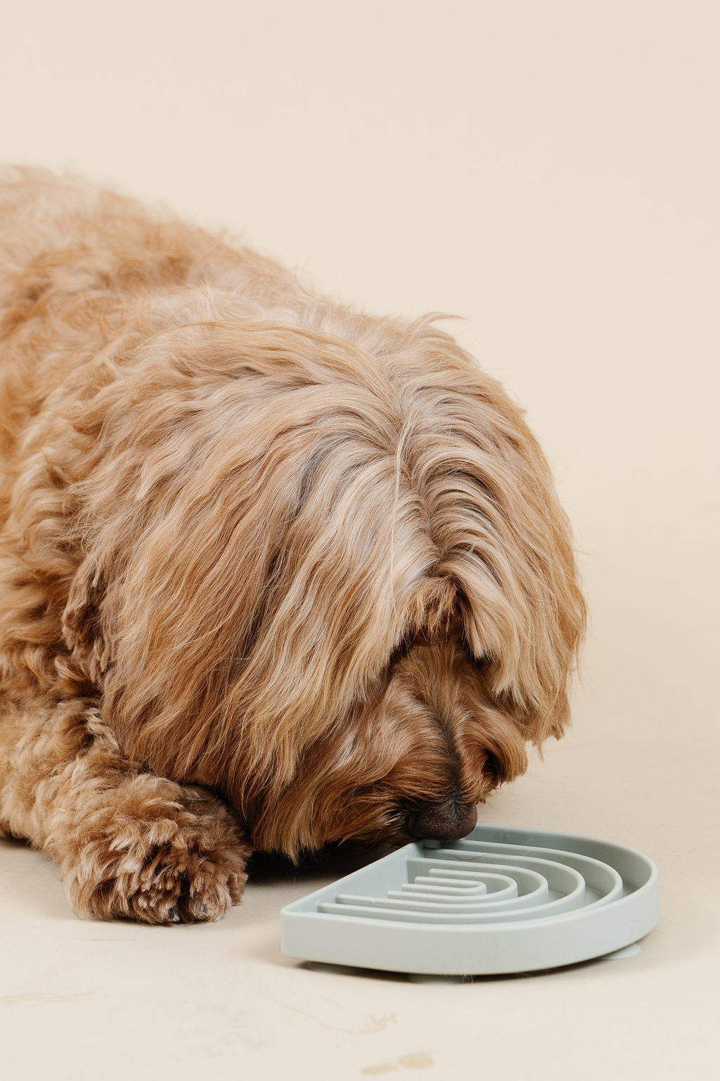 Pupwell Happy Feelings Lick Mat & Slow Feeder