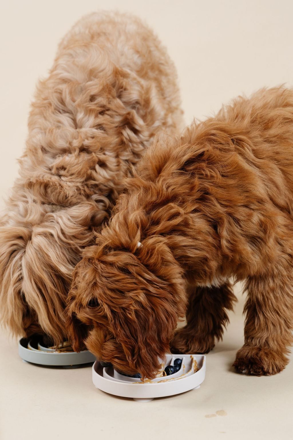 Pupwell Happy Feelings Lick Mat & Slow Feeder