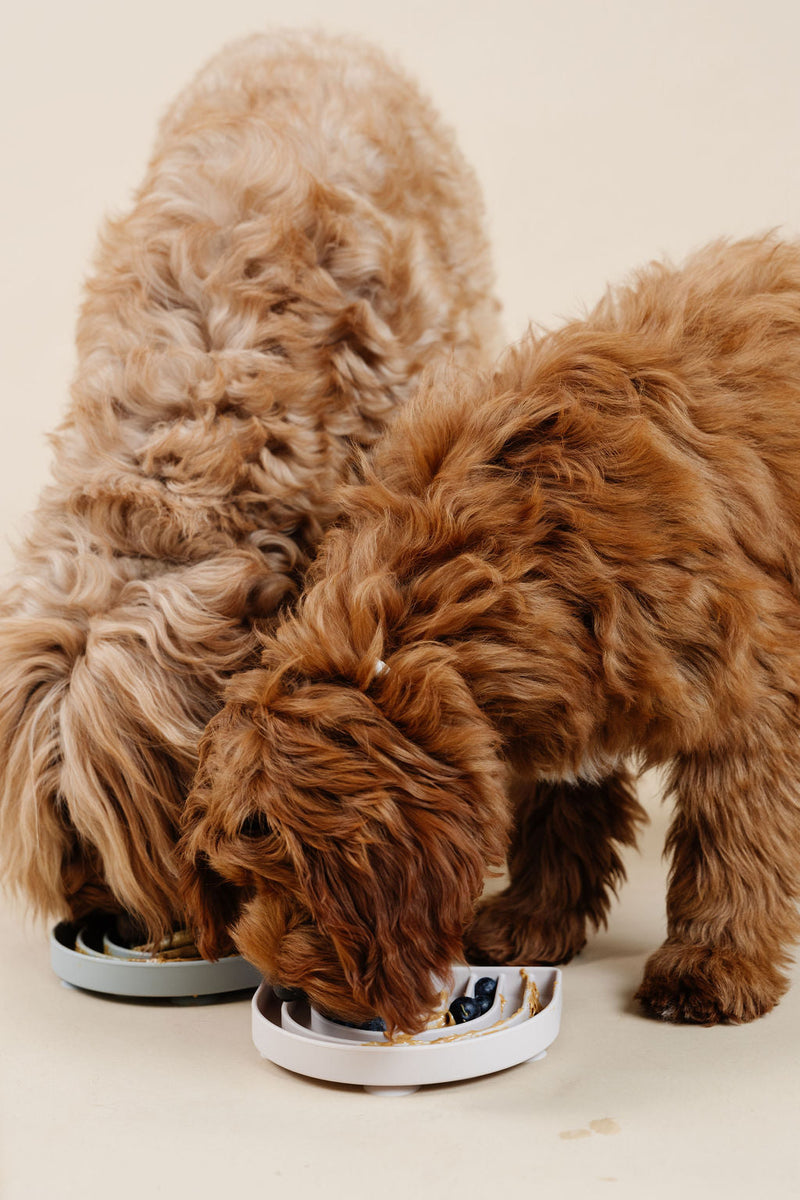 Pupwell Happy Feelings Lick Mat & Slow Feeder