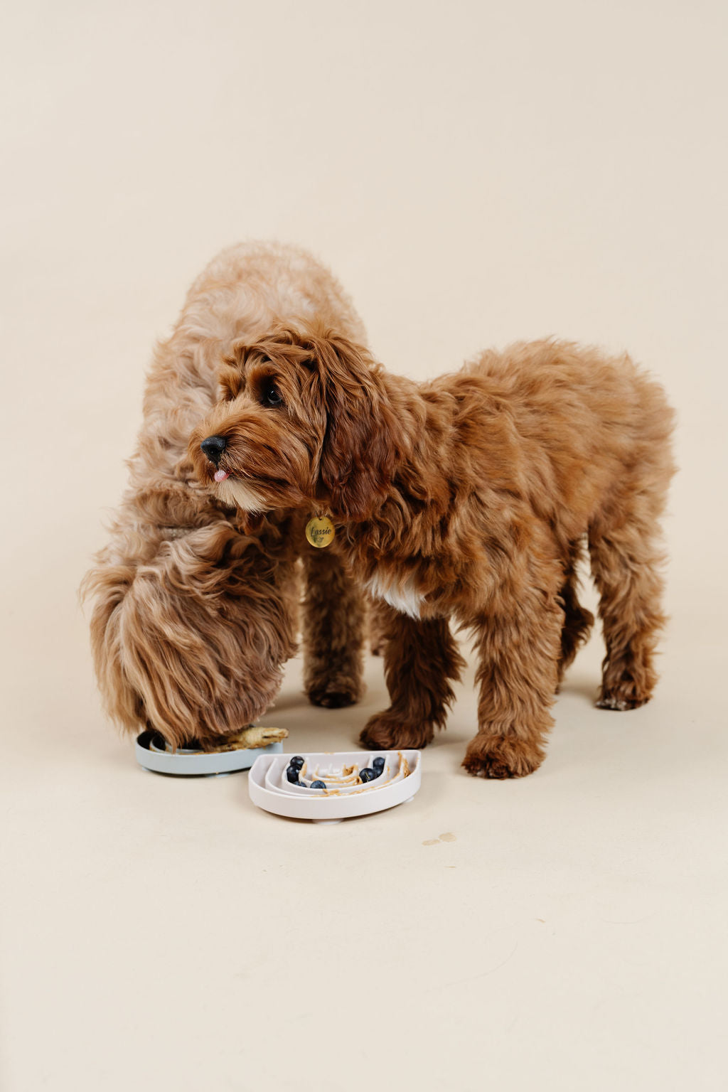 Pupwell Happy Feelings Lick Mat & Slow Feeder