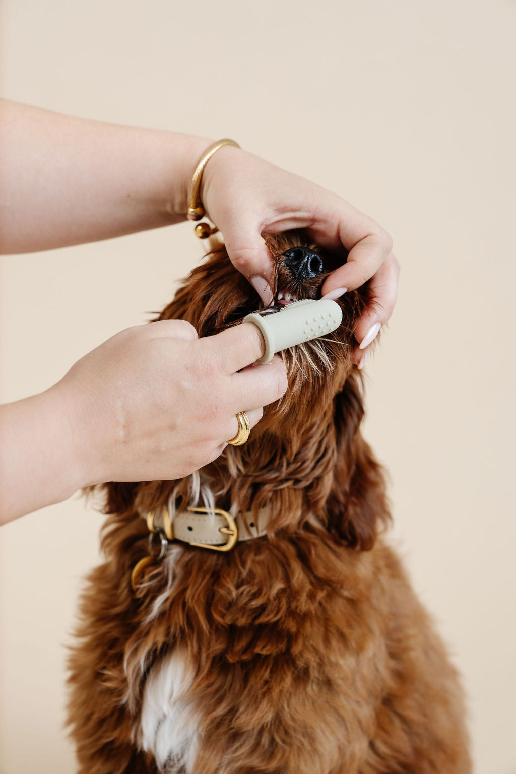 Puwell Puppy Breath Finger Toothbrush