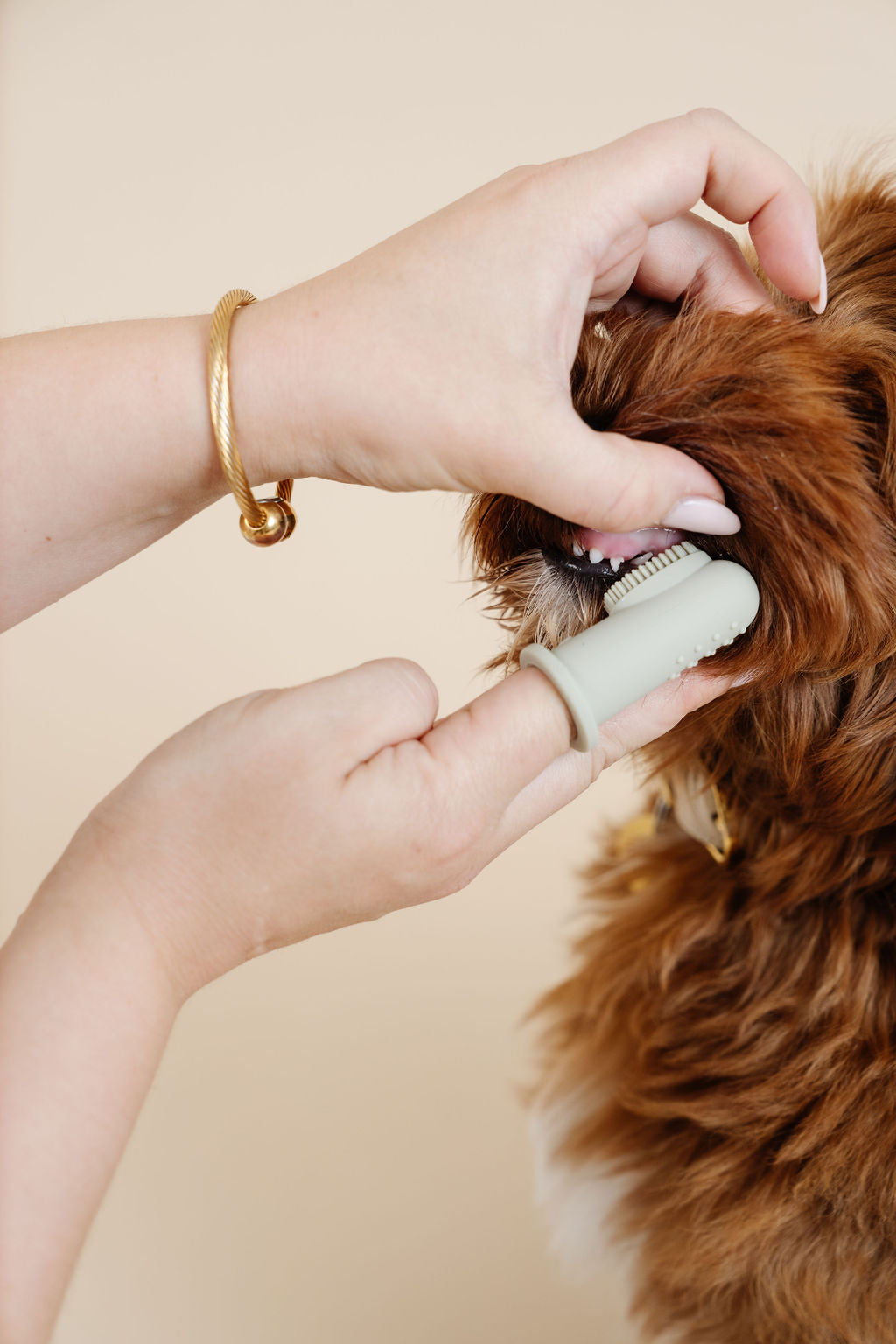 Puwell Puppy Breath Finger Toothbrush