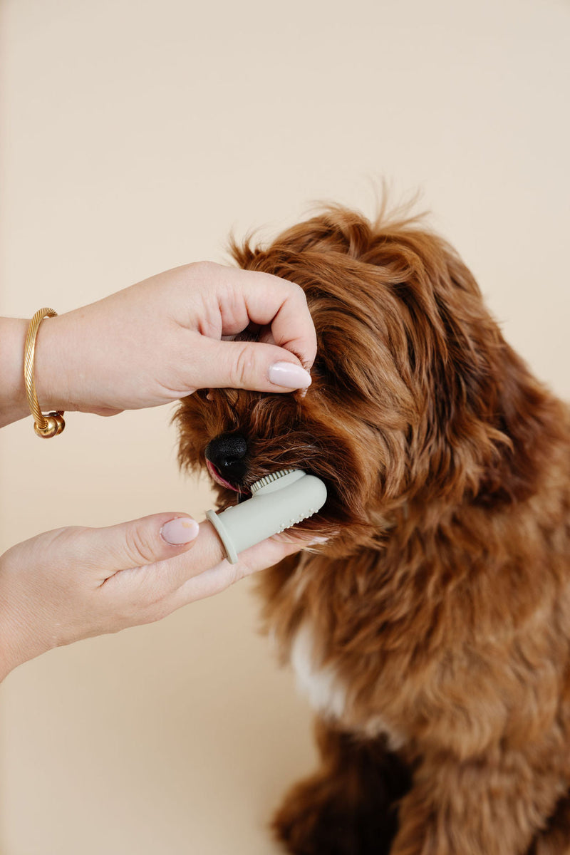 Puwell Puppy Breath Finger Toothbrush