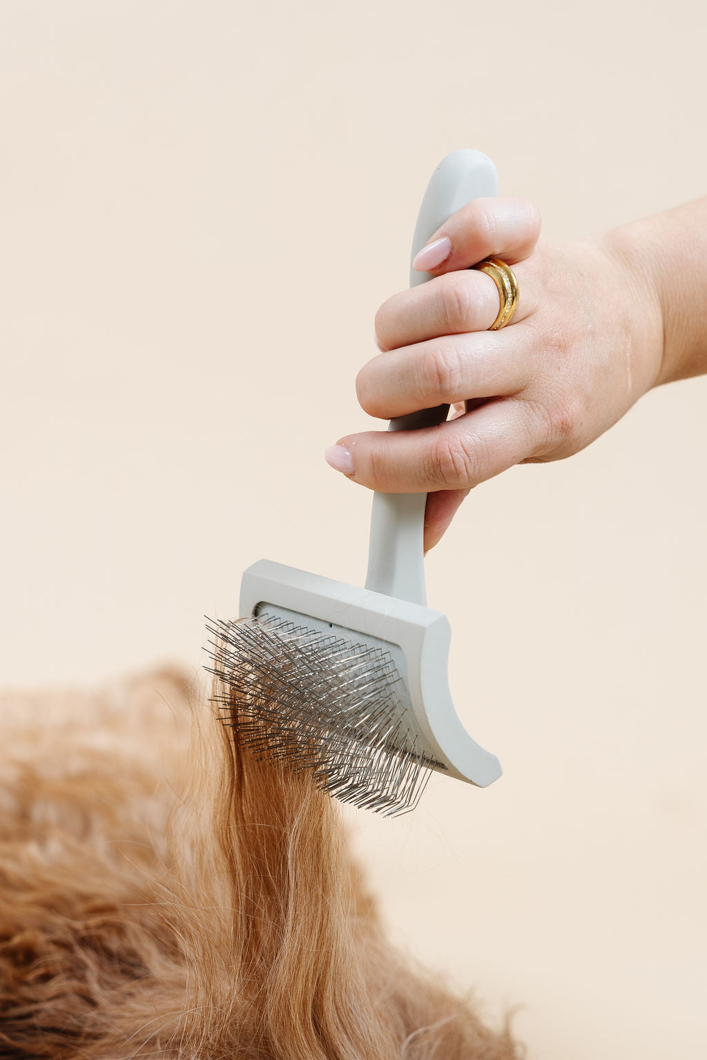 Pupwell Everyday Slicker Brush