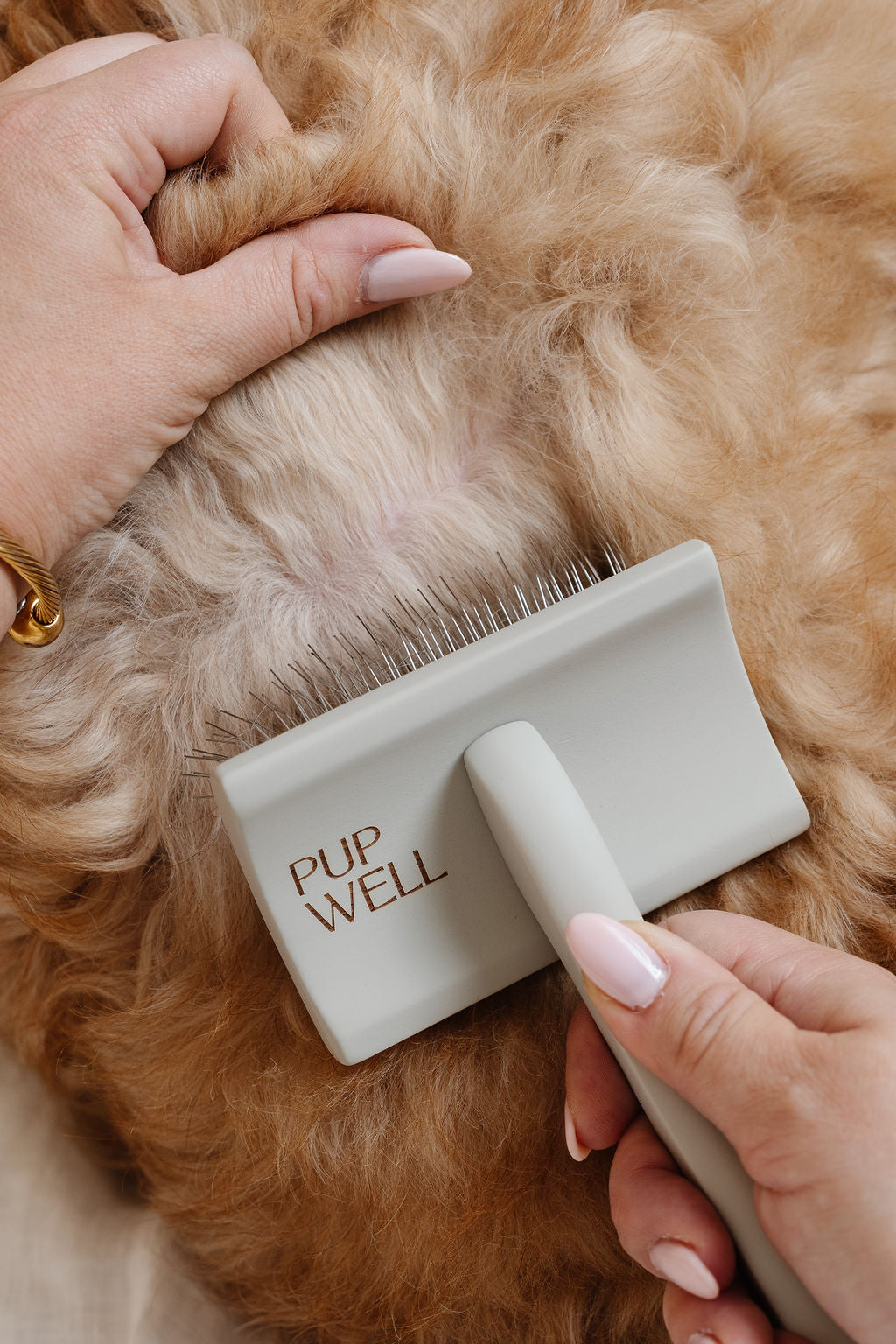 Pupwell Everyday Slicker Brush