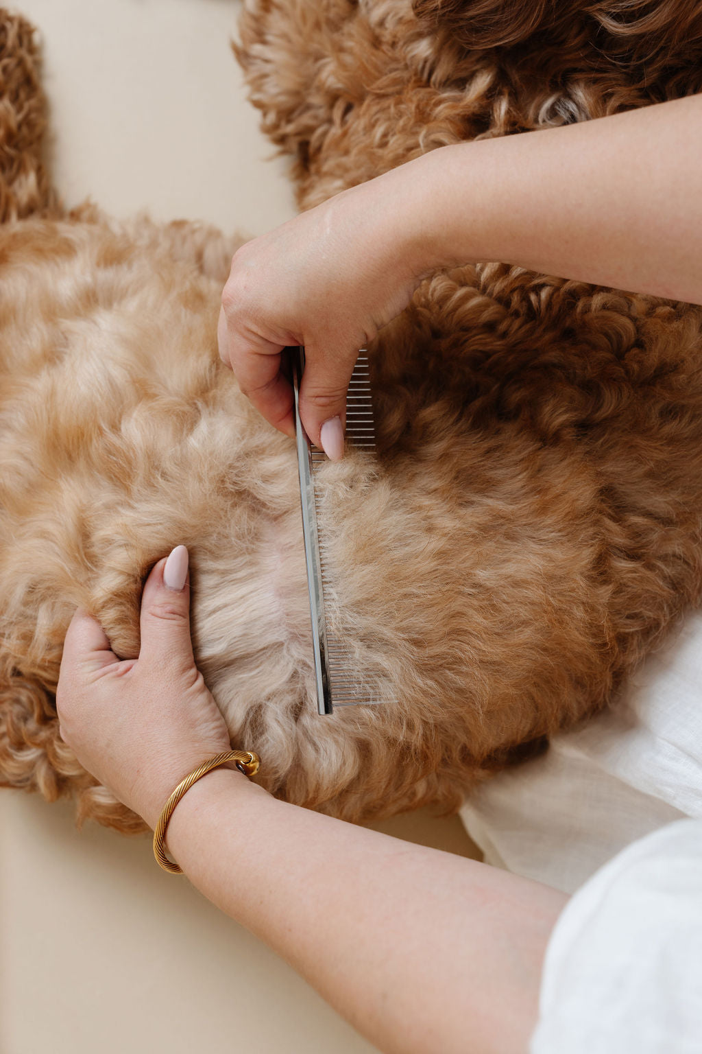 Pupwell Pup Parent Essentials Kit