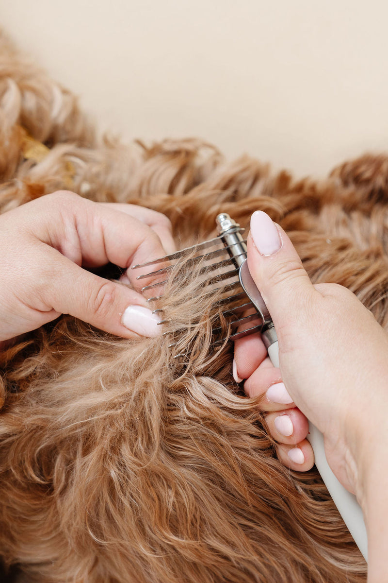 Pupwell Detangler Comb