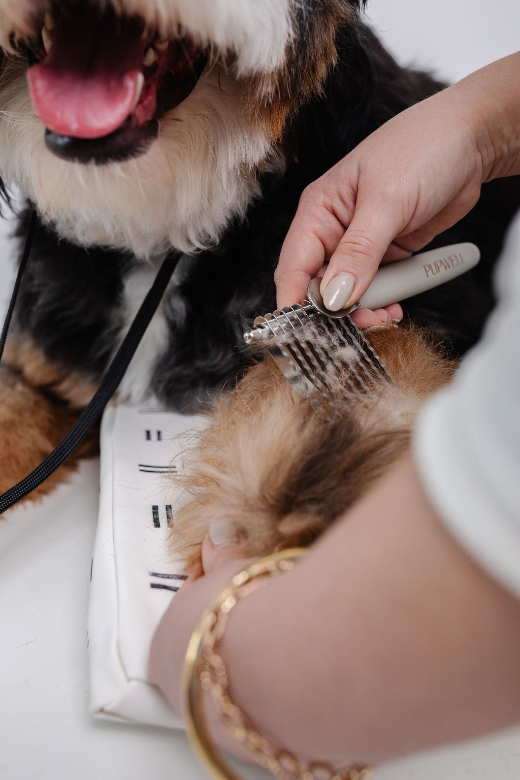 Pupwell Detangler Comb