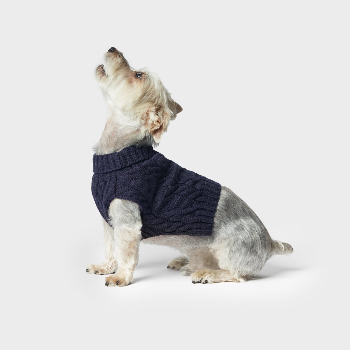 Shinola Cable Knit Dog Sweater
